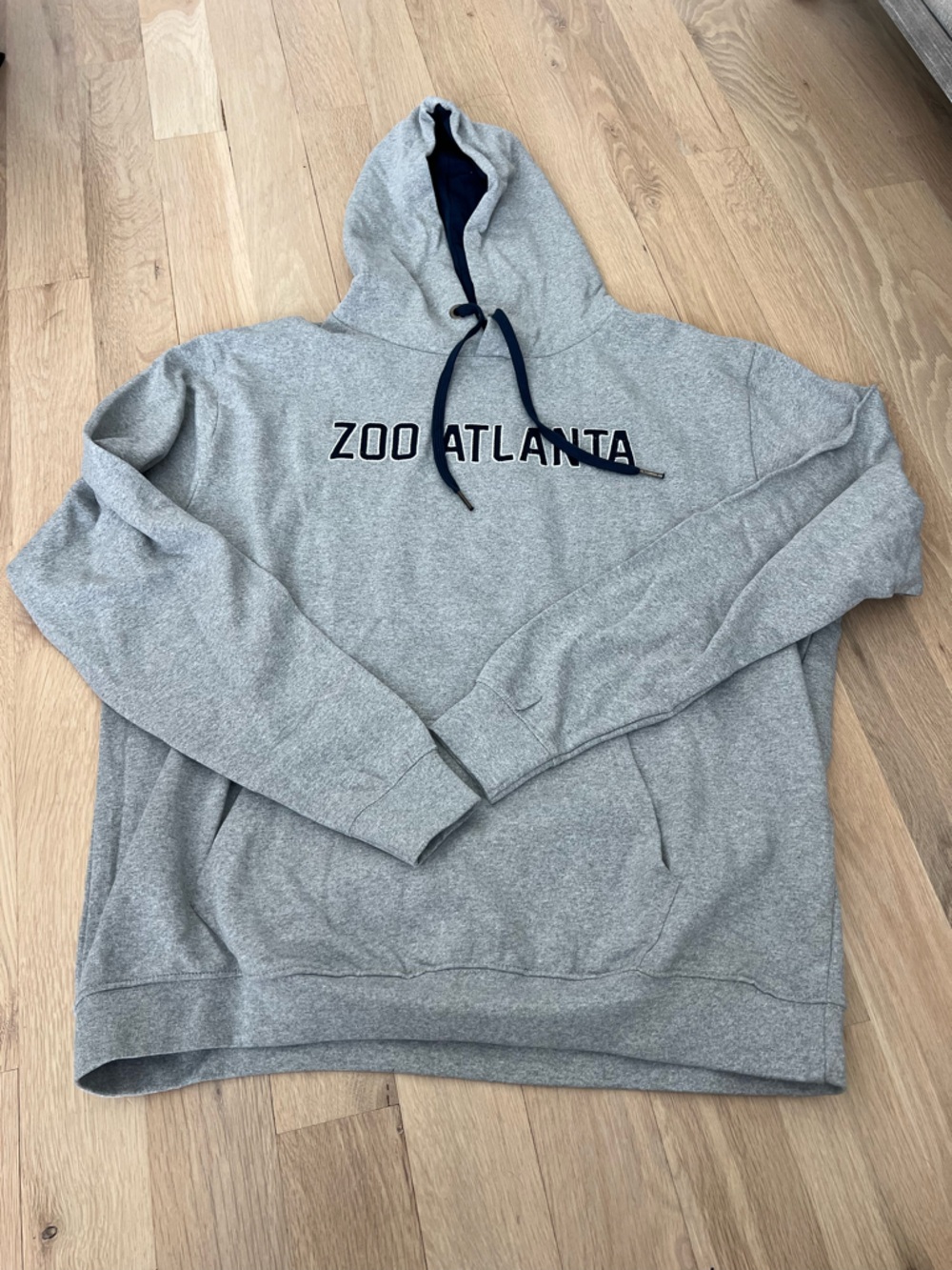 Zoo Atlanta Hoodie 🦁 Cozy Graphic Sweatshirt
